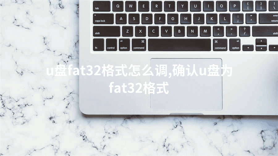 u盘fat32格式怎么调,确认u盘为fat32格式