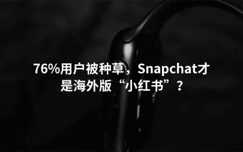 76%用户被种草，Snapchat才是海外版“小红书”？