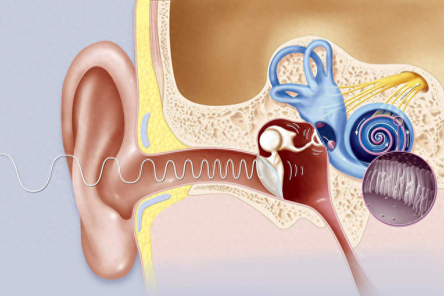 7.1声道耳机真能助你成功吃鸡？它如何增强人类听声辨位能力？