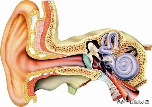 骨传导耳机是智商税吗？保护听力？什么才是真正的骨传导耳机？