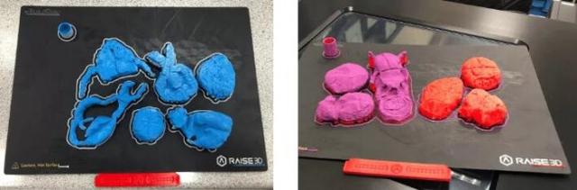 英国博顿学校老师分享Raise3D E2 3D打印机教学使用心得
