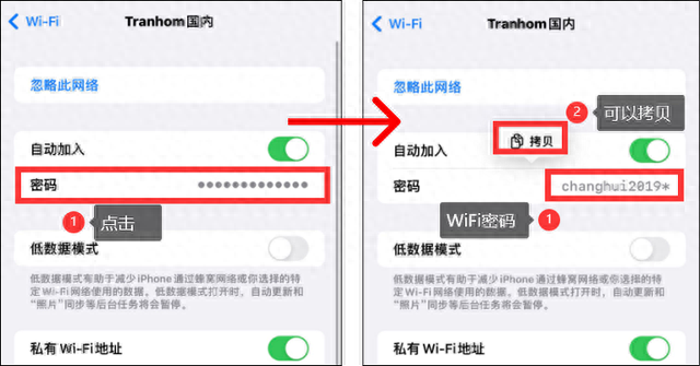 苹果手机怎么查看WiFi密码？无需下载软件，快速分享密码给其他人