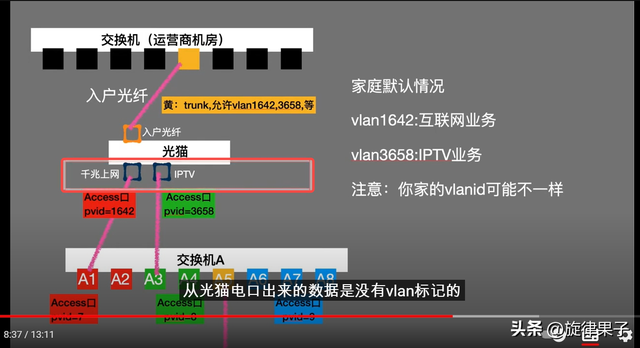 组网科普：Vlan，单臂路由，网管交换机，多业务单线复用（中）