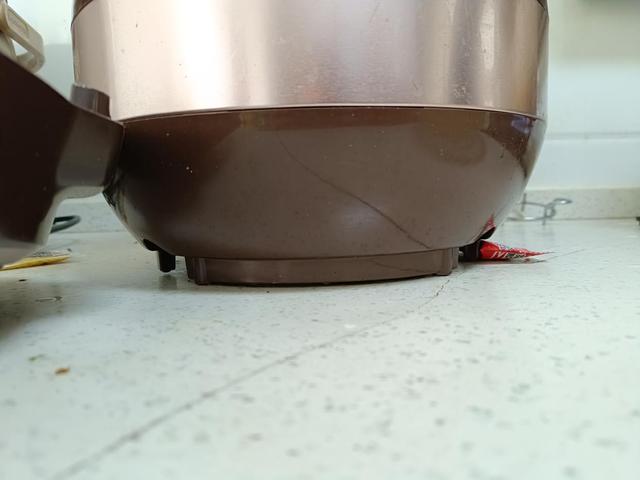 压饭非常香的电压力锅：苏泊尔（SUPOR）6升大容量智能触控球釜