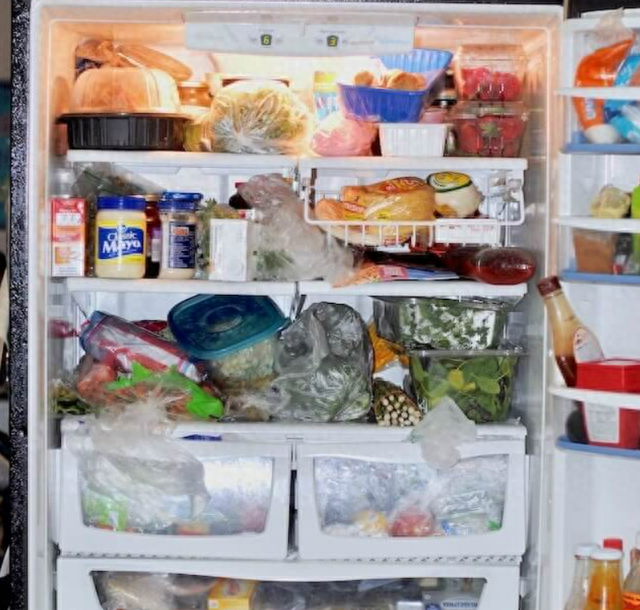 冰箱如何除味？冰箱除异味什么效果最好？