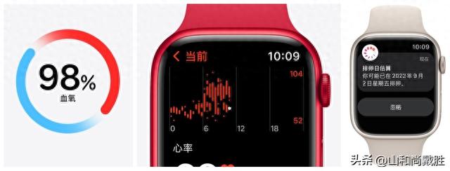 apple watch se和8的区别是什么？apple watch se和s8对比分析