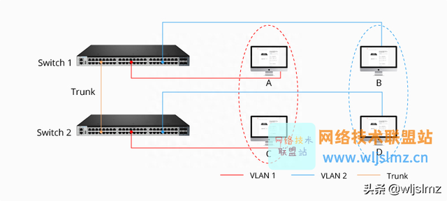 什么是VLAN？如何配置？VLAN间路由又是怎样的？一文了解